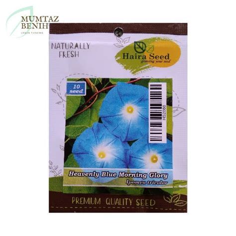 Jual Benih Bunga Morning Glory Heavenly Blue Haira Seed Shopee