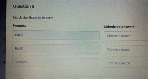 Solved Question Match The Shape To Its Term Prompts Chegg