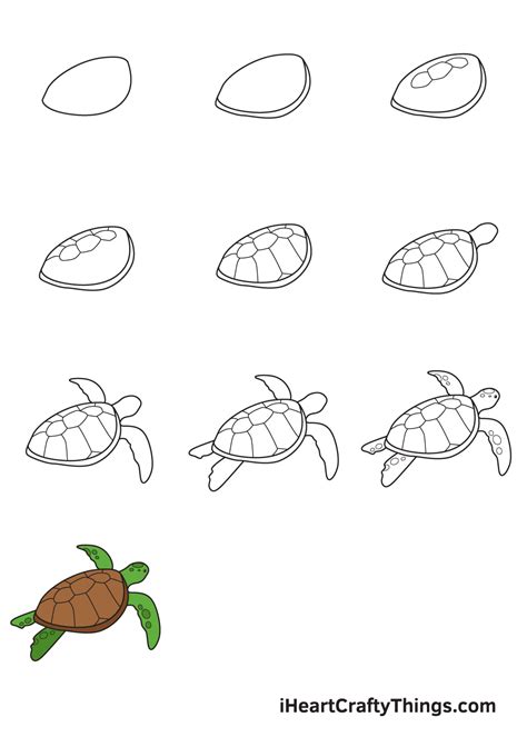 Sea Turtle Drawing - How To Draw A Sea Turtle Step By Step