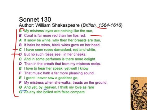 ShowMe - Sonnets