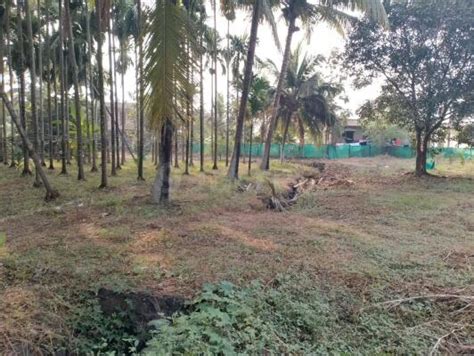 Residential Land Plot For Sale In Alibaug Raigad Sq Yard