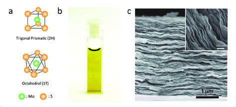 A Structures Of Semiconducting 2h And Metallic 1t Phase Mos2 B