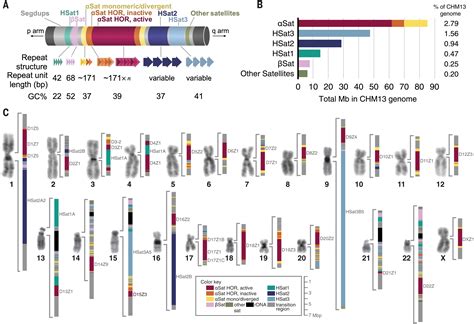 Centromere Structure