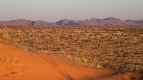 My First Winter At Tswalu As A Guide Wildlife Journal Tswalu