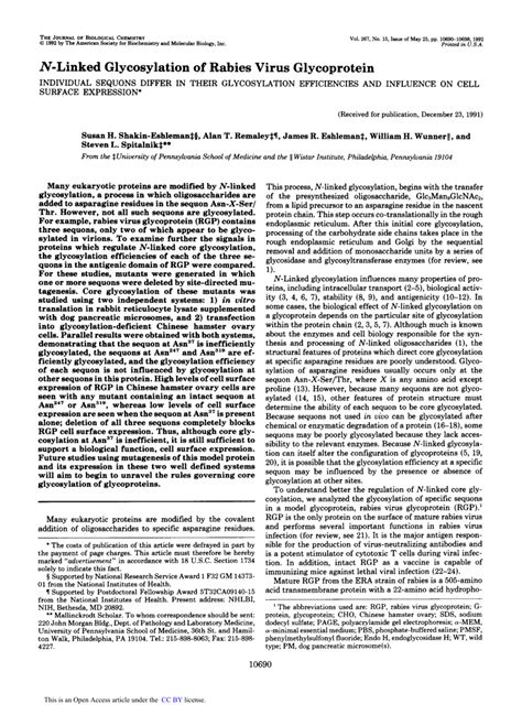 Pdf N Linked Glycosylation Of Rabies Virus Glycoprotein Individual Sequons Differ In Their