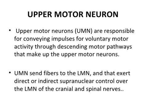 Upper And Lower Motor Neuron