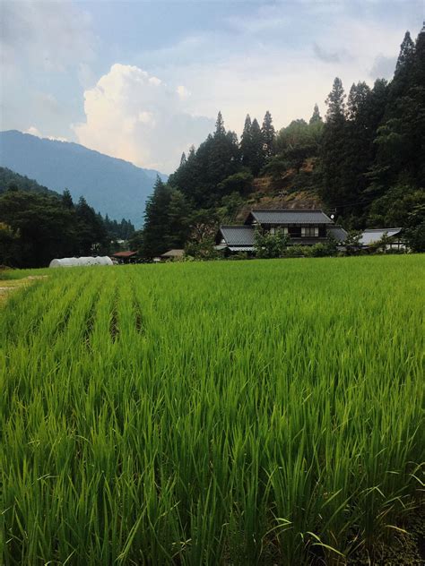 De Magome à Tsumago notre périple