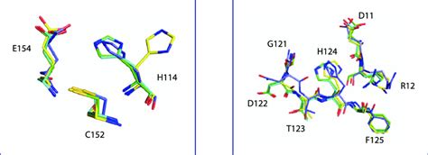 Ligand Induced Conformational Changes Of His114 A And 124 B The