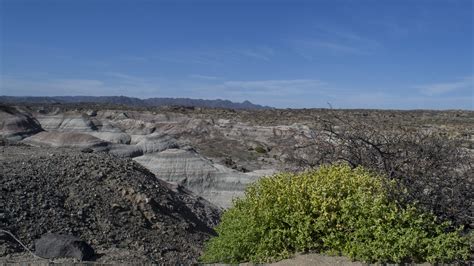 Parque Provincial Ischigualasto Flickr