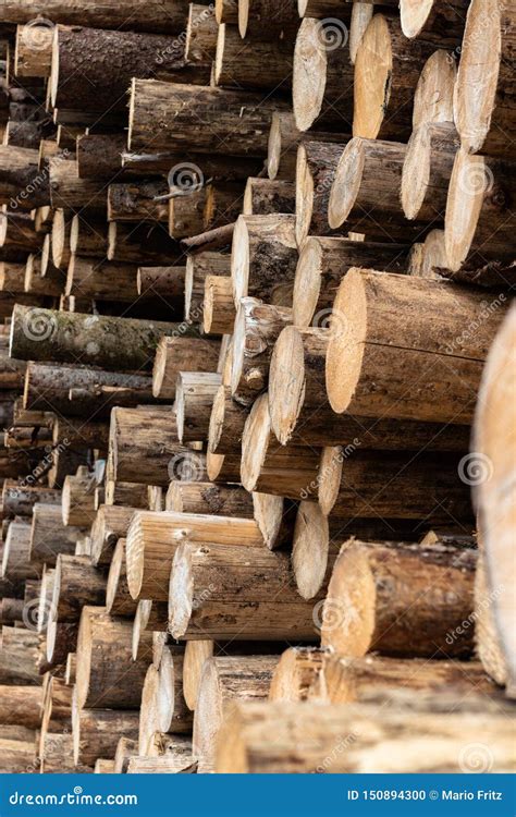 Une Pile Industrielle De Troncs D Arbre Photo Stock Image Du