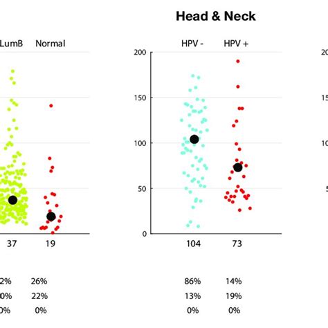 Tumor Mutational Burden Tmb In Each Tumor From Tcga Profiles Download Scientific Diagram