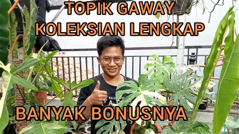 Wow Belanja Berapa Pun Disini Bakal Dikasih Bonus Loh Youtube