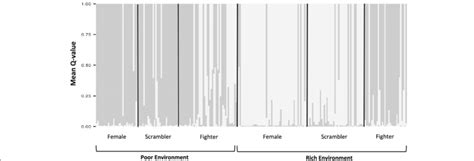 Structure Plot Of Subpopulation Genetic Clusters In Different