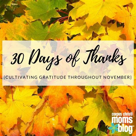 30 Days Of Thanks Cultivating Gratitude Throughout November