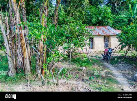 Village House In Lowacherra National Park Near Srimangal Bangladesh