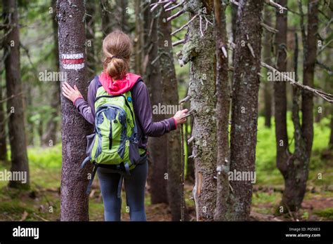 Vue arrière de slim blonde athlétique randonneur touristiques fille avec sac à dos et bâton de
