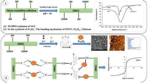 Characterization Of Magnetic Bio Nanocomposites Of Nanocrystalline