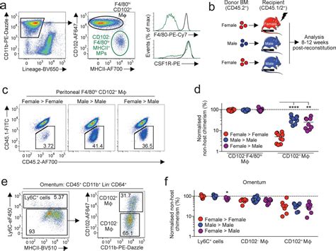 Origin And Microenvironment Contribute To The Sexually Dimorphic Phenotype And Function Of