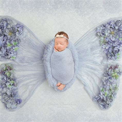 Digital Backdrop Background Newborn Baby Girl Butterfly White Etsy