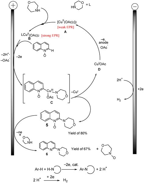 Catalysts Free Full Text Morpholine Radical In The Electrochemical Reaction With Quinoline N