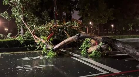 高雄深夜風雨交加！ 路樹遭連根拔起砸車、機車被吹倒｜四季線上4gtv