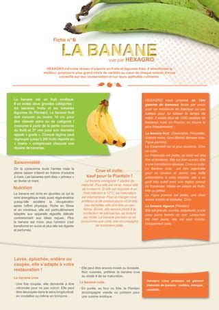 Fiche Produit Banane Vue Par Hexagro Pdf T L Chargement Gratuit