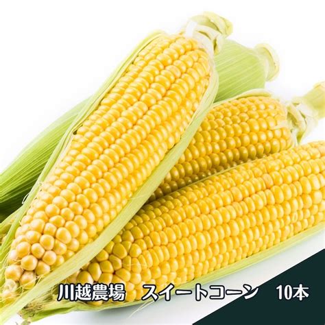 野菜 北海道新鮮マルシェ