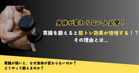 胃腸を鍛えると筋トレ効果が倍増する！？その理由とは…｜ゆーぺい