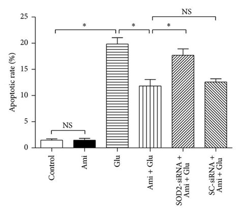 Sod Sirna Reversed Amifostine Induced Effects On Apoptosis The Pc