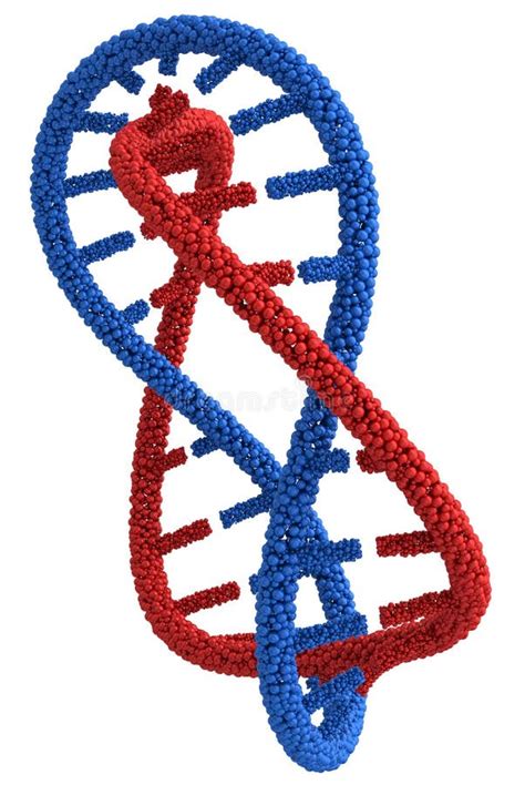 Zwei Verdrehten DNA Moleküle in Das Chromosom Stock Abbildung