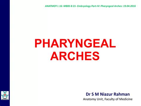 Embryology Of Pharyngeal Arches By Dr Niazur Rahman Ppt