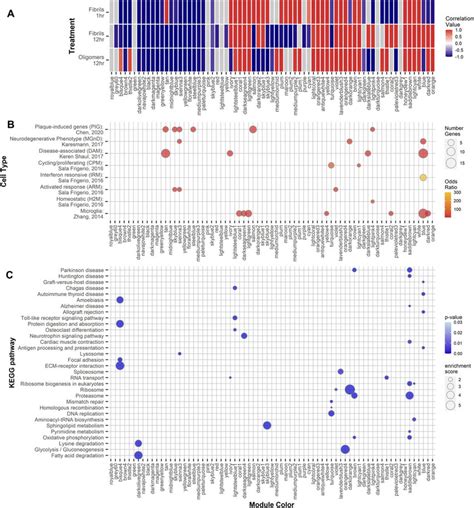 Weighted Gene Correlation Network Analysis Gene Modules Found By