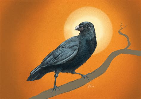 Crow Study Behance