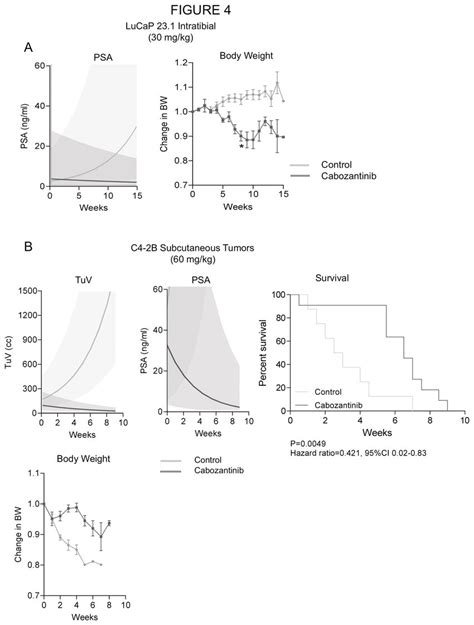 A A Lower Dose Of Cabozantinib At 30 Mg Kg Also Inhibits Tumor