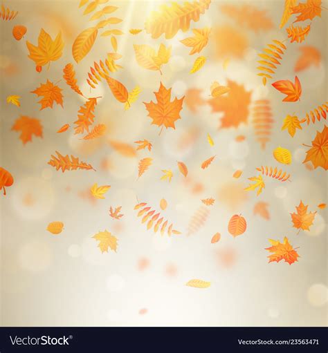 Abstract autumn banner template with colorful Vector Image