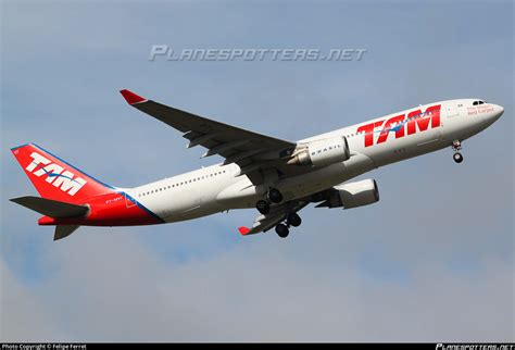 Pt Mvf Tam Linhas A Reas Airbus A Photo By Felipe Ferret Id