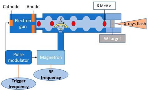 Mashinsky Signal Tutorial Actlokasin