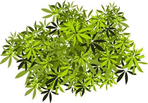 Bushes Png Pngs For Free Download