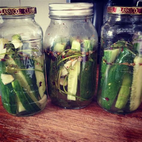 Lazy Housewife Pickles Recipe Allrecipes