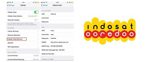 4 Cara Cek Masa Aktif Kartu 3 Terlengkap Lewat Aplikasi Sms And Kode