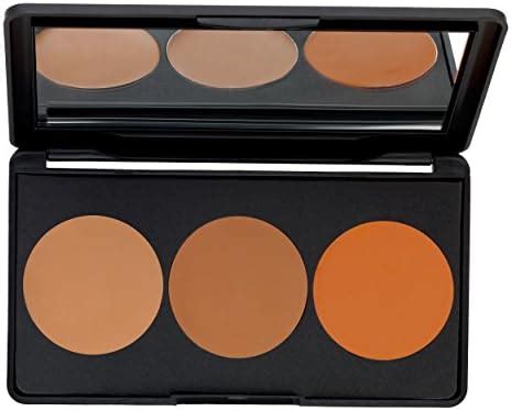 STARS COSMETICS Concealer Palette 3 Colors Face Makeup Light Medium