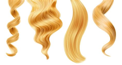 Shiny Blond Woman Hair Strand Curl Or Ponytail 12851108 Vector Art At