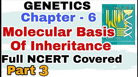 Ch 6 Molecular Basis Of Inheritance Genetics Full Ncert Explanation For