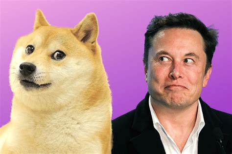 Elon Musk Reminds All to Invest in DOGE with Caution – SuperCryptoNews