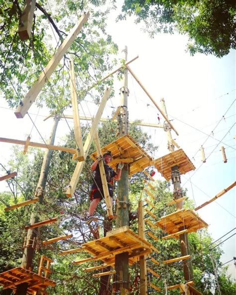 The Adventure Park At Nashville Nashville Fun For Families