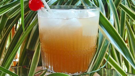 Harvest Nectar Cocktail Recipe - Food.com