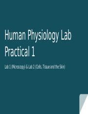 Human Physiology Lab Practical Pptx Human Physiology Lab Practical