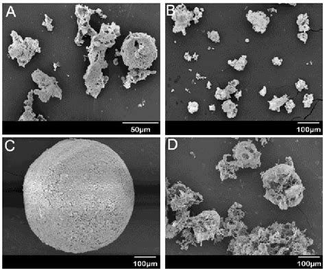 Scanning Electron Microscope SEM Photographs Of Polymeric