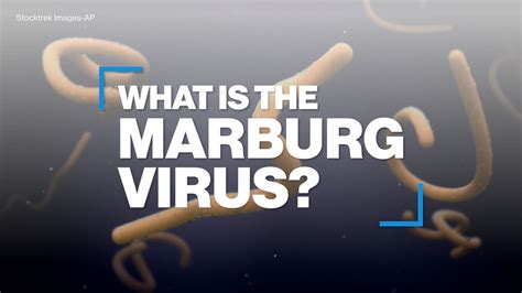 What Is The Marburg Virus Disease Good Morning America