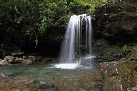 Ultimate Guide to the Best Waterfalls near Gatlinburg (2023)